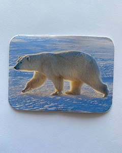 Isbjörn - 95x70mm kvadratisk klistermärke med rundade hörn