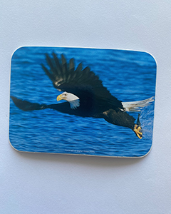 Örn - 95x70mm kvadratisk klistermärke med rundade hörn