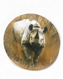Noshörning - 80mm runt klistermärke