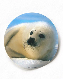 Vit säl - 80mm runt klistermärke